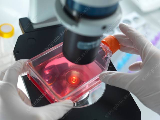 Cell Imaging System